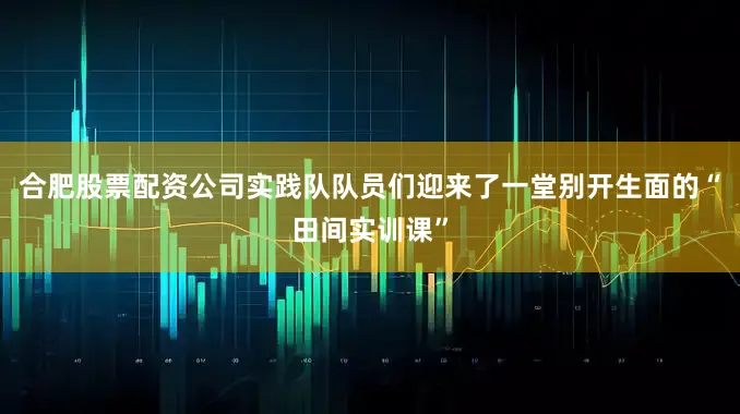 合肥股票配资公司实践队队员们迎来了一堂别开生面的“田间实训课”