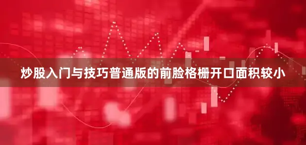 炒股入门与技巧普通版的前脸格栅开口面积较小